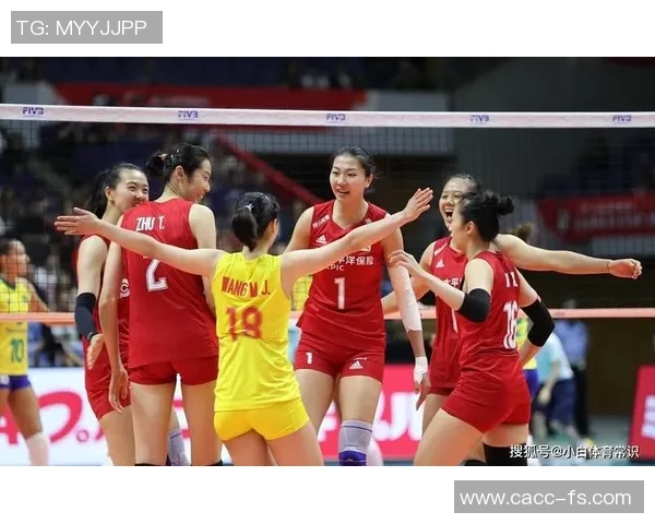 深度对话杨磊揭秘排球人生背后的坚持与梦想