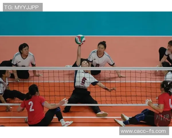 深圳排球队战术实力强劲荣登全国排球战术排行榜第六名